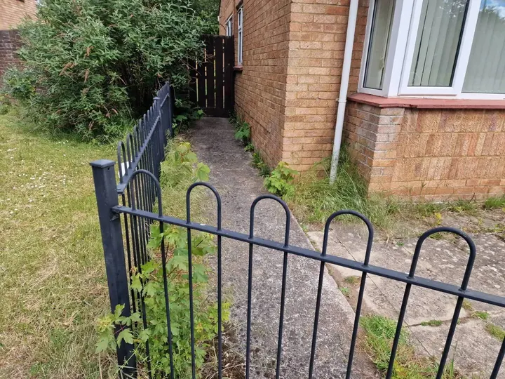 Overgrown side path at Bristol property before garden tidy-up